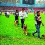 黄石“犬友”玩出了名堂（图） 动物世界