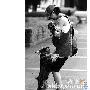 广州养犬管理条例规定每户限养一只狗（图） 动物世界