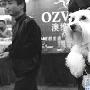 宠物大会名犬展风姿（图） 动物世界
