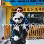 宠物犬摇身变“熊猫”（图） 动物世界