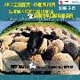 AKC全球服务—中国积分赛 武汉全犬种大赛&首届牧羊组精英邀请赛（B级）举办在即 动物世界