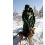 大冬会安保警犬训练精良屡立奇功（图） 动物世界