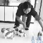 5只小狗想找好人家（图） 动物世界