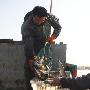 新疆：养殖特色水产白斑狗鱼获得成功（图） 动物世界