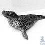 小海豹患上“恐鱼症”（图） 动物世界