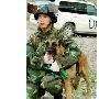 我军工兵营配备比利时马里努阿犬用于扫雷（图） 动物世界
