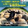 AKC全球服务-中国积分赛 武汉全犬种大赛&首届牧羊组精英邀请赛（B级）举办在即 动物世界