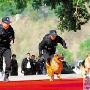 深圳海关举行缉私警察开放日 缉毒犬最抢眼（图） 动物世界