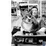 我是肥猫我自豪（图） 动物世界