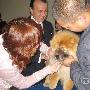 2009年1月14日NGKC上海站犬只注冊安排 動物世界