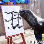 海狮献“丑”迎新年（图） 动物世界
