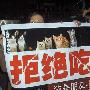 关注：广东佛教组织买下700余只猫放生（图） 动物世界