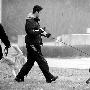 明年起，居民养犬不收费（图） 动物世界