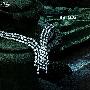 美艳绝伦 难以抗拒的华丽珠宝（20）