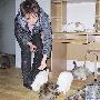 “猫妈妈”自费创办“避难所”（图） 动物世界