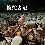 贵州传奇捕蛇者 单手能抓凶猛五步蛇（图） 动物世界