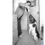 人家遛狗她遛猪（图） 动物世界