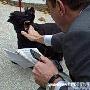 布什宠物狗屡次咬人将提前离开白宫（图） 动物世界
