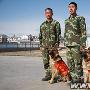 宁夏首支消防搜救犬队在石嘴山市成立（图） 动物世界