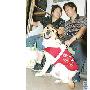 導盲犬“紡如”上海安家記（圖） 動物世界