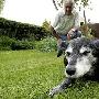 英宠物狗或成世界最老的狗 狗龄超200岁（图） 动物世界
