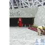 武汉刑警完成奥运安检携搜爆犬荣归（图） 动物世界