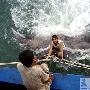 渔民捕获3千斤重大鱼 背部可站7条大汉（图） 动物世界