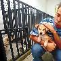 重庆官办流浪犬收容所开张 无主犬面临安乐死（图） 动物世界