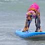 美国举行海湾小狗冲浪比赛（图） 动物世界