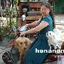 爱心女士自费训养导盲犬（图） 动物世界