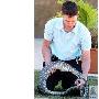 巨蟒吞食小猫X光照片（图） 动物世界