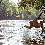 科学家首次拍到猩猩用自制长矛从河中捕鱼（图） 动物世界