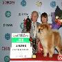 2008年CKU湖南全犬种冠军展（CAC）赏励照 动物世界