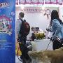 中国宠物网--上海嘉年华万人签名活动4（图） 动物世界