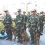 河南省首支消防搜救犬队探密（图） 动物世界
