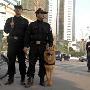 特警巡街 配微型冲锋枪、防暴犬保市区两节平安（图） 动物世界
