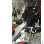 广州铁路警方投入搜爆犬值勤保春运安全（图） 动物世界