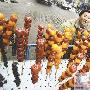 小黄狗拉截肢老汉上街卖糖葫芦（图） 动物世界