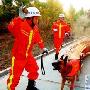 北京：消防搜救犬队1周年 23条搜救犬“入伍”（图） 动物世界
