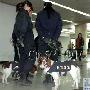 北京女警火车站携缉毒犬缉毒（图） 动物世界