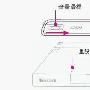 多普达U1000通过硬启回复原厂设置