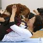 日本流行和寵物狗一起練瑜伽（圖） 動物世界