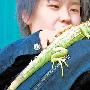 另类宠物看病有点犯难（图） 动物世界