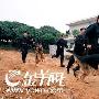 勇猛巡逻犬治安成明星（图） 动物世界