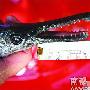 广州市民珠江钓出凶猛肉食鱼 嘴长六厘米（图） 动物世界