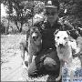 泰国警犬专抱女士双腿被发配到乡下（图） 动物世界