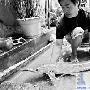 鸭嘴蛇身鱼梅州发现古老鱼种活化石（图） 动物世界
