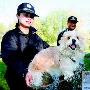 警方治犬首日 35只小狗“失寵”（烏魯木齊）（圖） 動物世界