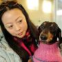 女子为宠物狗办理移民日本签证（图） 动物世界