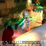 金猪跳水迎新春 南宁各公园元旦“大戏”多（图） 动物世界